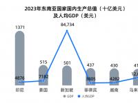 开云体育入口-东南亚代表全面崛起，态势强劲