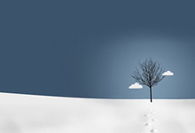 扣篮风采，点亮球场上的热情