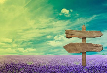 绝地反击，闪耀亚洲！泰国女篮五连胜铸就传奇！