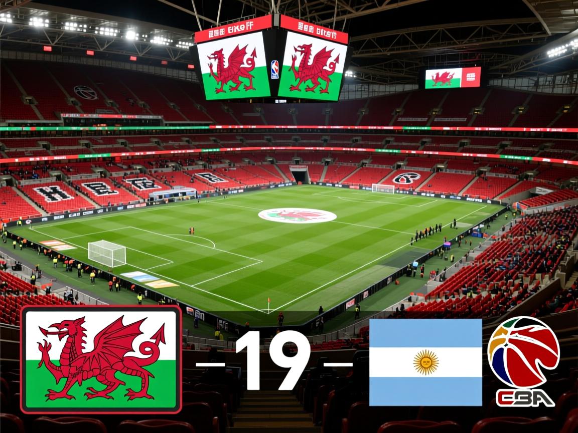 威尔士主场不敌阿根廷，遭遇失利  第1张