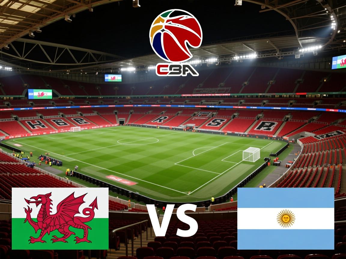 威尔士主场不敌阿根廷，遭遇失利  第3张