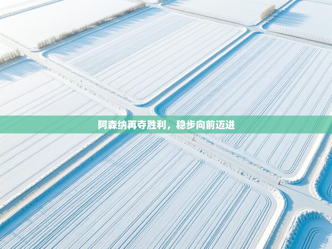 阿森纳再夺胜利，稳步向前迈进